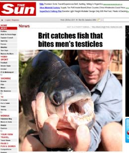 Britnico captura peixe conhecido por devorar testculos de pescadores