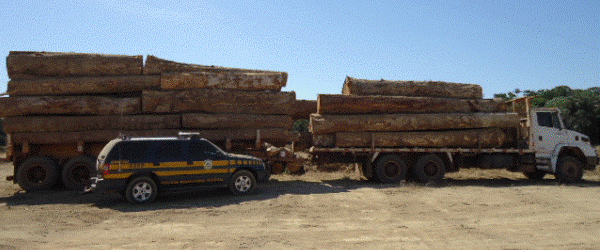 PRF apreende 50 m de toras de madeira sem a documentao