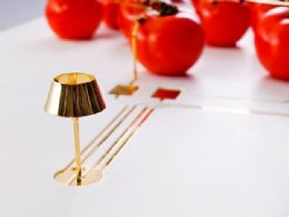 Estudante cria lmpada ecolgica que funciona com tomates