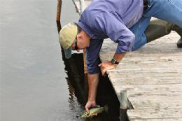 Pesquisadores criam desequilbrio ecolgico em lago para monitor-lo