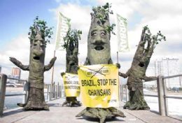 frica do Sul tem protesto contra desmatamento na Amaznia