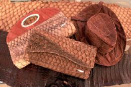 Instituto apresenta objetos feitos de couro de peixes da Amaznia