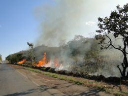 Brigada Florestal far controle de incndios em Mato Grosso