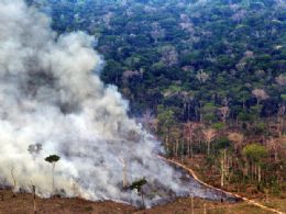 Desmatamento da Amaznia caiu 38% em agosto, indica Inpe