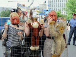 Ativistas protestam contra transporte de animais para experimentos