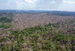 rea no Amazonas  desmatada com tcnica usada na Guerra do Vietn