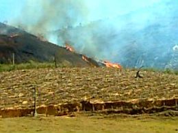 Incndio causa prejuzo a produtores rurais em Afonso Cludio, ES