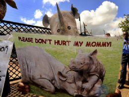 Ativistas protestaram contra a caa de rinocerontes em Pretoria, na frica do Sul, em 29 de maro. Quatro funcionrios do Parque Nacional Kruger foram presos suspeitos de matar os animais e vender os chifres para criminosos.
