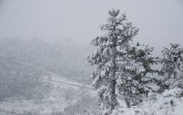 Internautas enviam fotos de neve na regio sul do pas