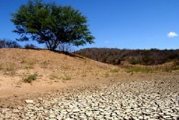Combate  desertificao ter sistema de alerta em 2011