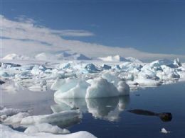 Visitantes levam espcies invasoras para Antrtica, alertam pesquisadores