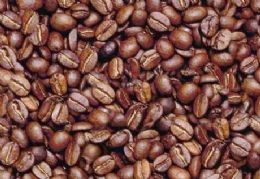 Pas produzir 39,1 milhes de sacas de caf em 2009