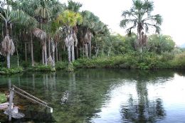 Nobres  mais que bonito,