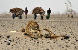 Moradores caminham perto de animais mortos em Athibohol, noroeste de Nairbi, no Qunia. Pas localizado no Chifre da frica sobre com grave perodo de seca