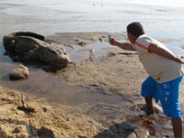 Moradores do Araguaia encontram jacar de quase 200 kg em 'praia'