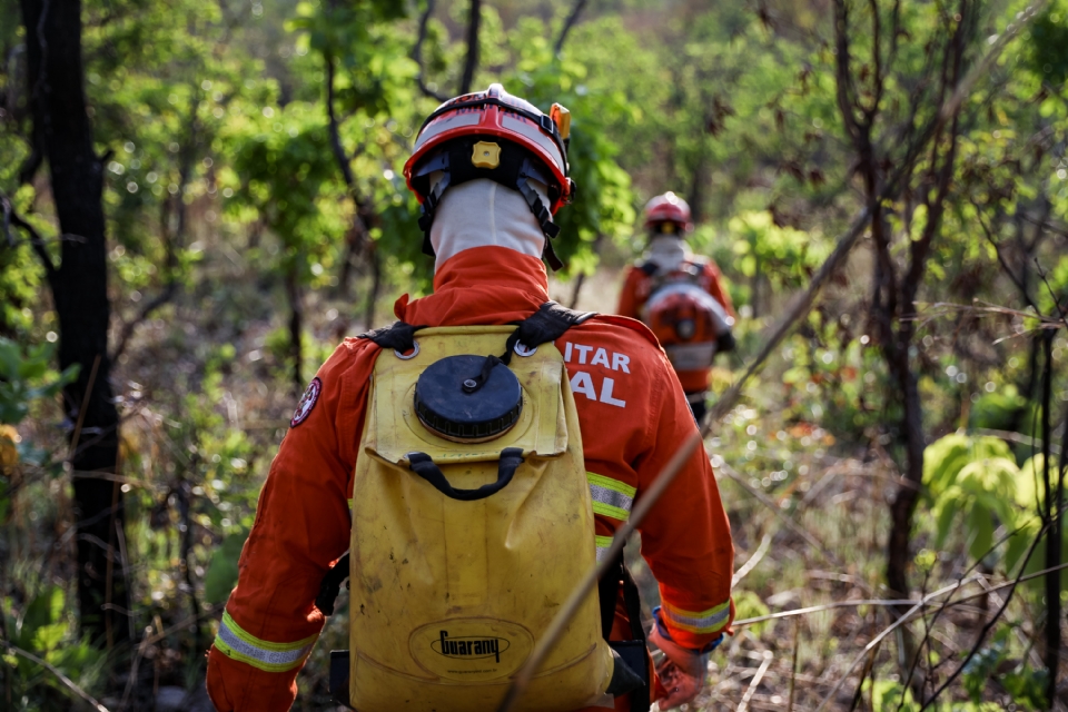 Bombeiros combatem dez incndios florestais em Mato Grosso nesta quinta-feira