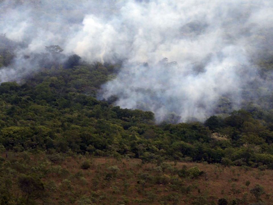 rea da Amaznia Legal atingida pelas queimadas equivale a 2 vezes o territrio de Sergipe; 30% ocorreu em Mato Grosso
