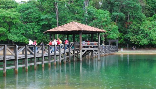 Parque Florestal revitalizado ser aberto para visitao no sbado