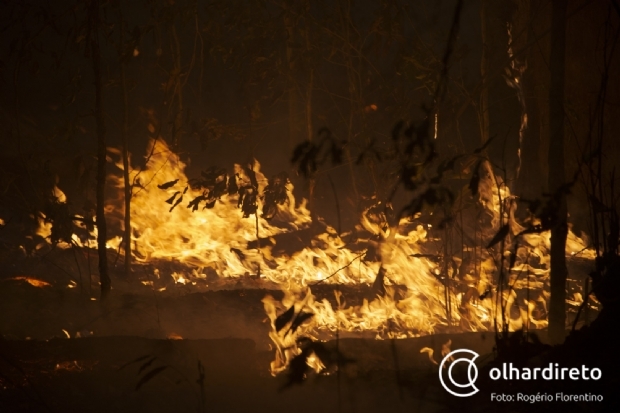 Desmatamento, fogo em terra indgena e encontro das chamas; laudos detalham incndios no Pantanal