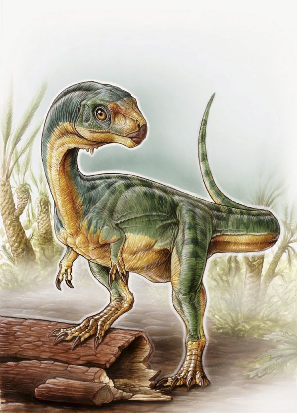 Ilustrao mostra exemplar da nova espcie de dinossauro batizada de 'Chilesaurus diegosuarezi'