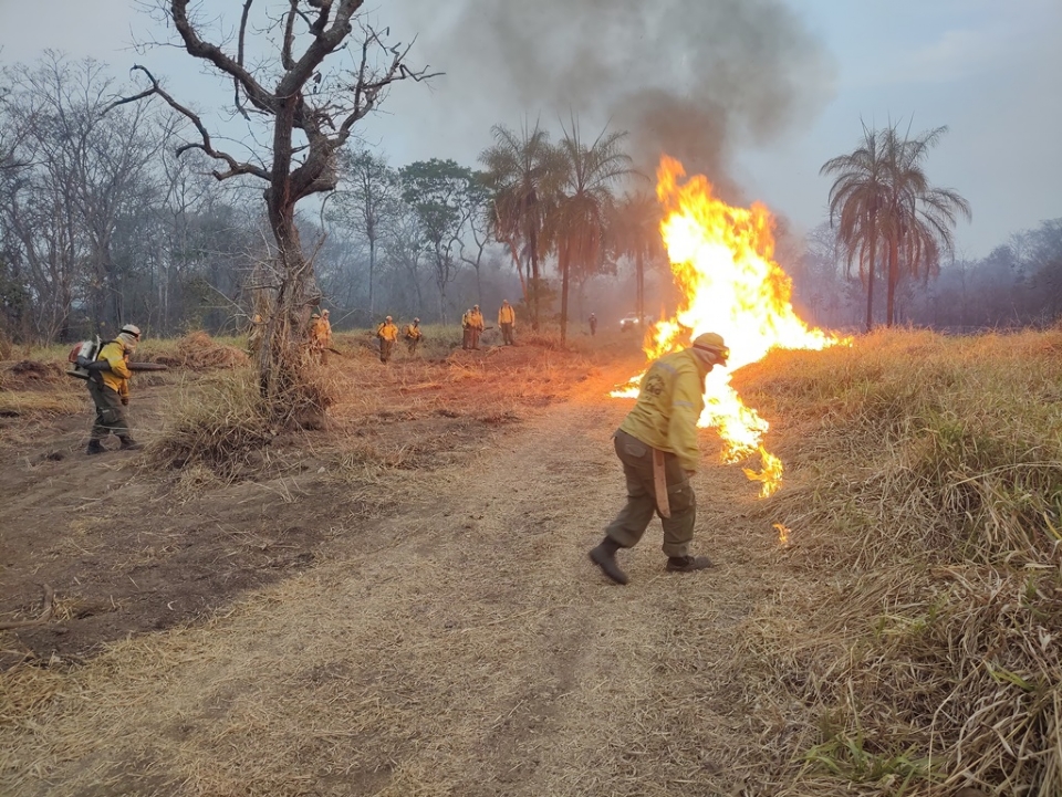 Chapada dos Guimares em chamas: devastao j  equivalente a 33 mil campos de futebol