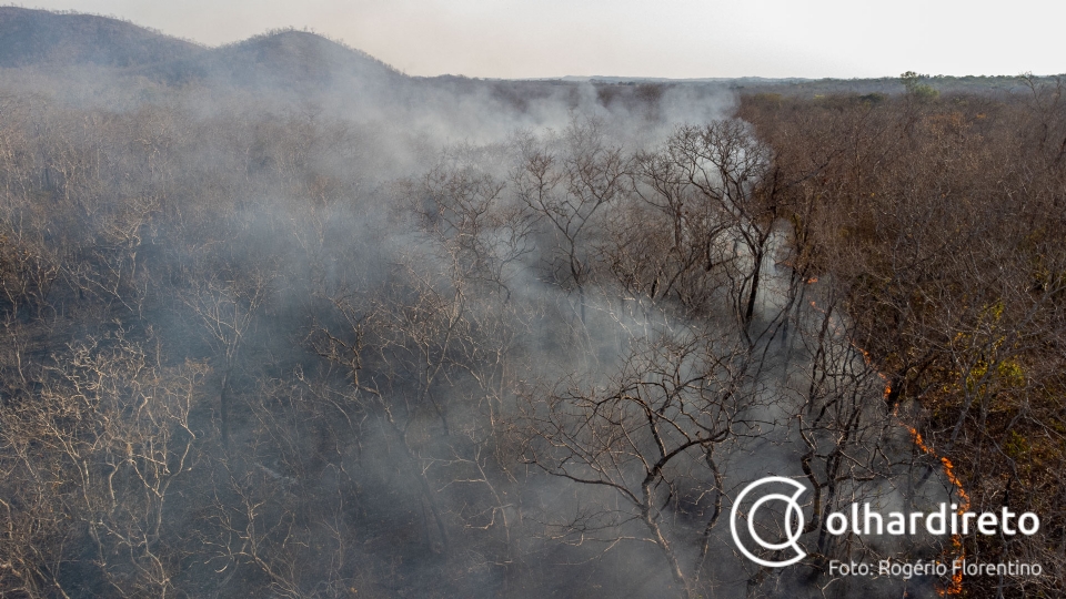 Bombeiros combatem fogo perto do Rio Mutuca e rea atingida se aproxima de seis mil hectares;  veja fotos e vdeos