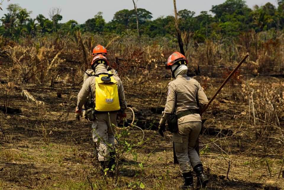 Diferente do RS que sofre com enchentes, MT passar por seca severa at fim de outubro; veja planos para salvar o Pantanal