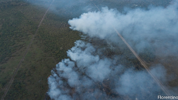 Fogo j consumiu 5% de todo o Pantanal em MT na pior seca dos ltimos 30 anos