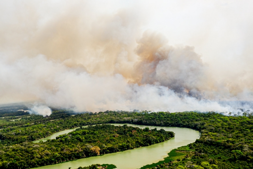 Fogo na divisa entre MT e Bolvia chega ao Pantanal; incndios em reservas indgenas aumentaram mais de 400%