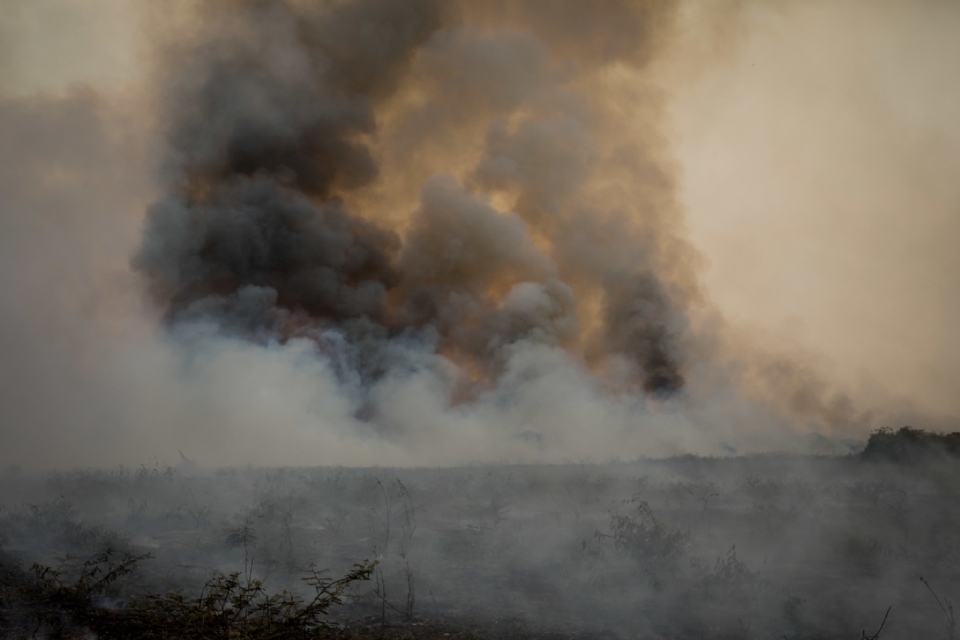 MT registra 68 focos de calor em 24h; Bombeiros combatem chamas no Pantanal de Cceres