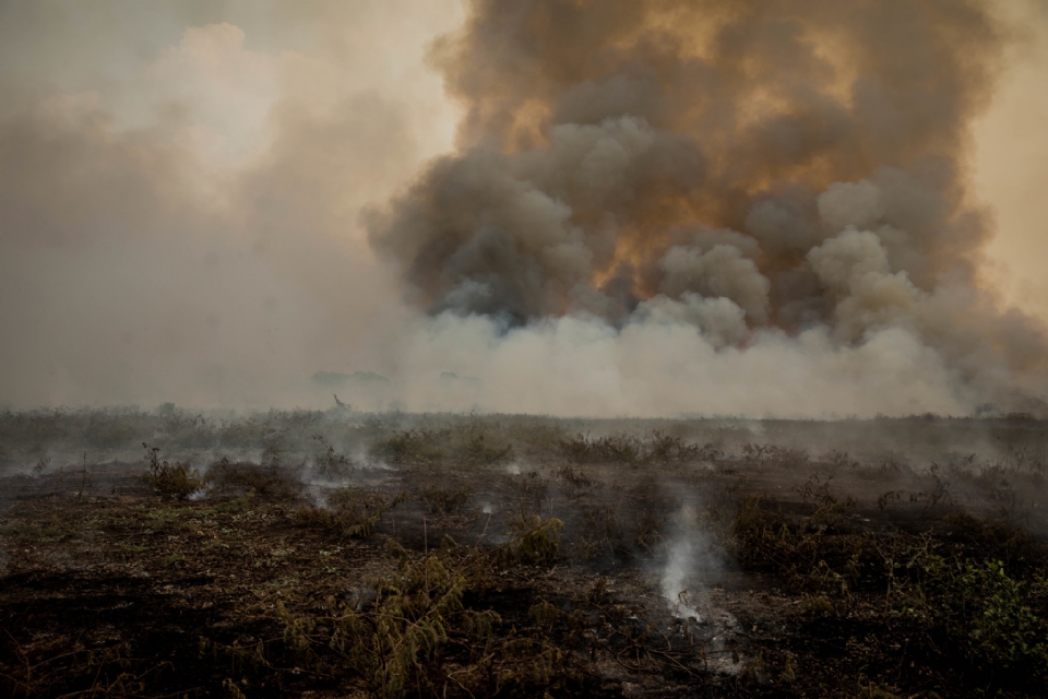 Incndio destri 30% de cidade do interior de MT; Rio Paraguai registra nvel preocupante de escassez