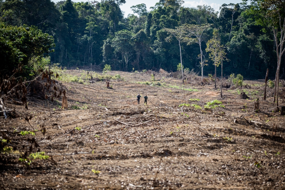 Acusado de desmatar rea de preservao ambiental tem multa reduzida em mais de R$ 800 mil