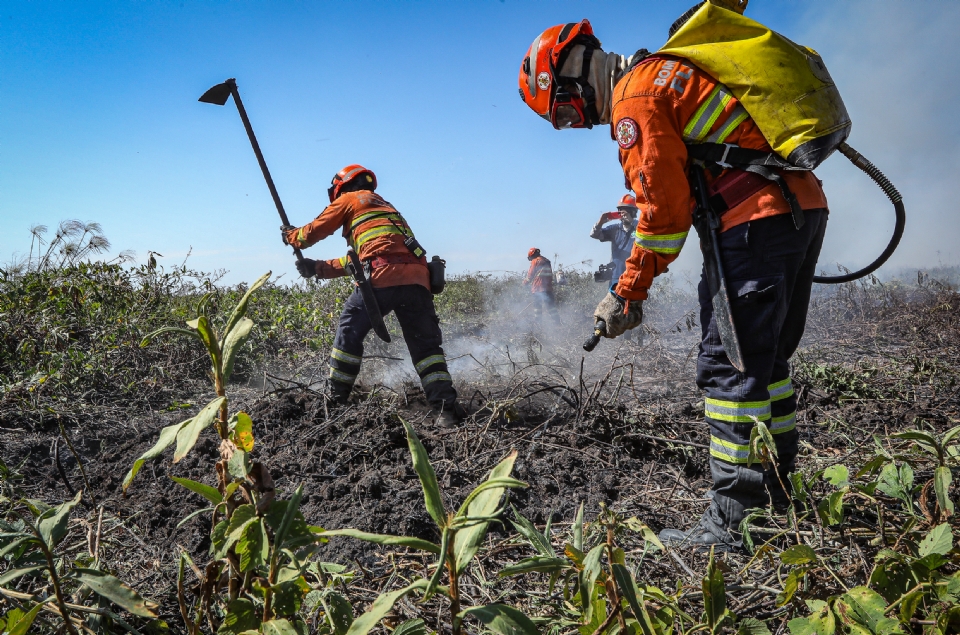 Corpo de Bombeiros divulga lista com nomes dos novos brigadistas temporrios