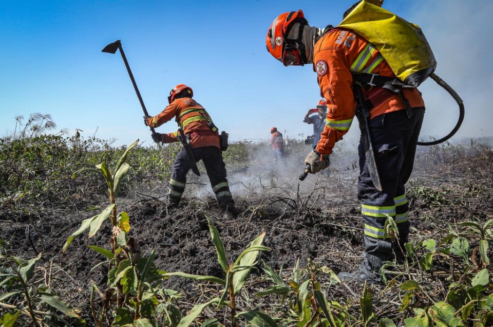 Corpo de Bombeiros extingue mais um incndio florestal em Chapada dos Guimares