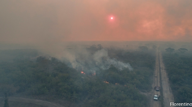 Incndios no Pantanal e Estrada da Guia foram provocados por rompimento de cabo, fogo em carro e at extrao de mel