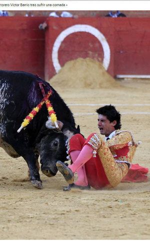 Atingido por chifrada no peito, toureiro  o 1 a morrer em arenas espanholas no sculo