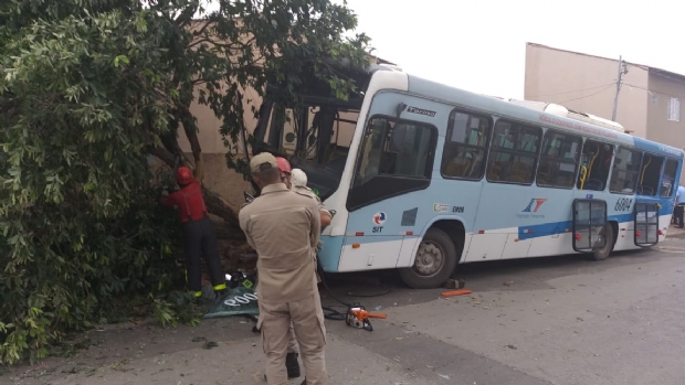 ​Motorista de nibus desmaia ao volante e colide com rvore