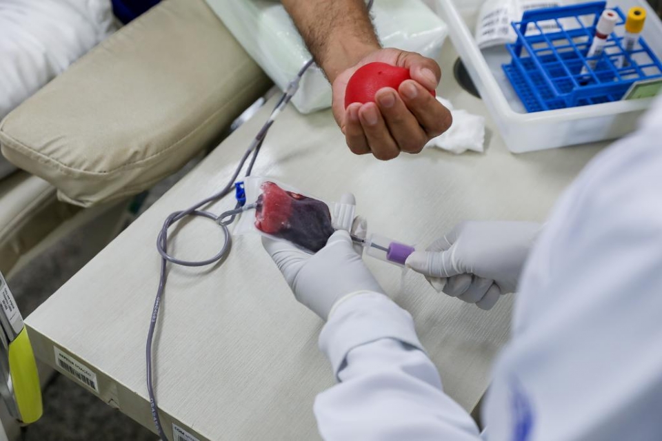 MT Hemocentro coletou 39 mil bolsas de sangue e ajudou a salvar at 100 mil pacientes em 2023