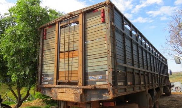 Caminho que transportava 19 cabeas de gado nelore furtadas na calada da noite na regio Araguaia