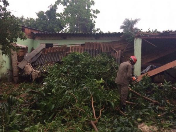 Casa atingida por uma rvore no bairro Costa Verde, em Vrzea Grande