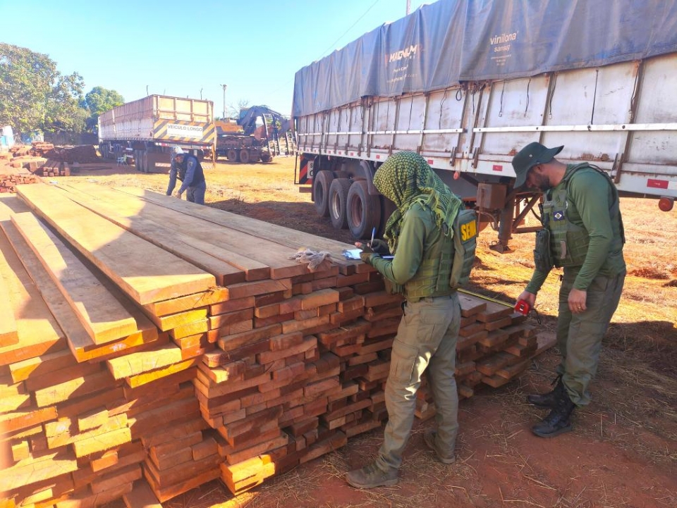Operao da Sema e PM apreende madeira extrada ilegalmente e carretas no interior