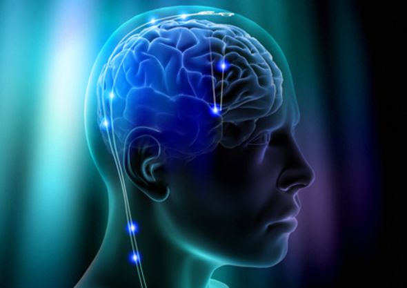Problemas na infncia tm efeito no desenvolvimento cerebral, diz estudo
