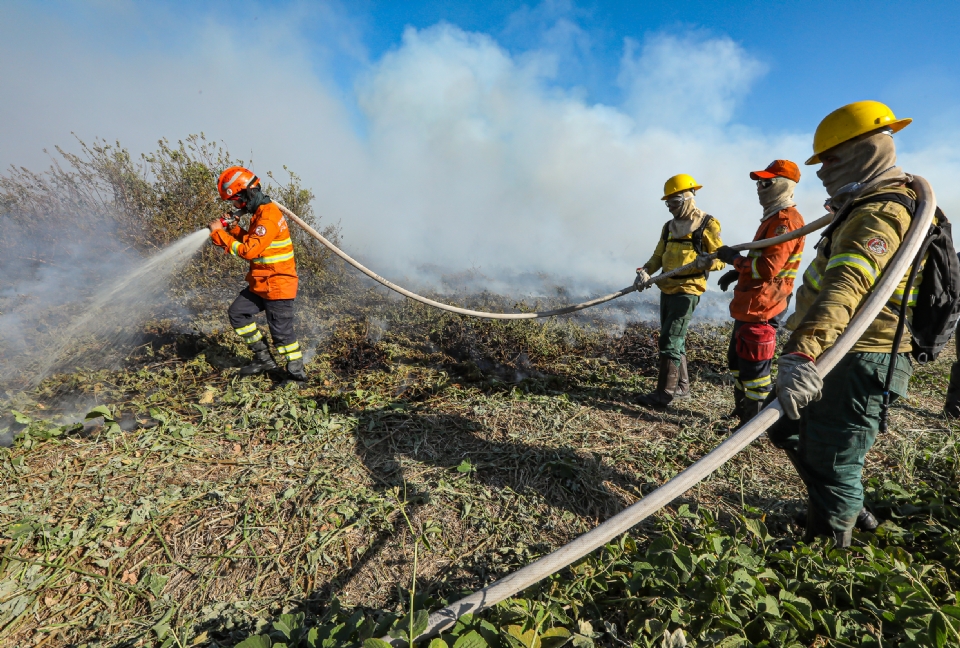 rea atingida por incndios no Pantanal mato-grossense tem reduo de 12% em setembro