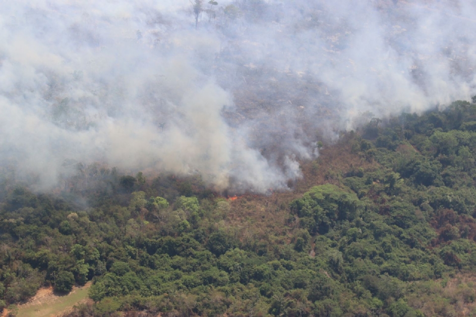 Organizaes protocolam requerimento cobrando ao do governo nos incndios na rea do Parque Cristalino II