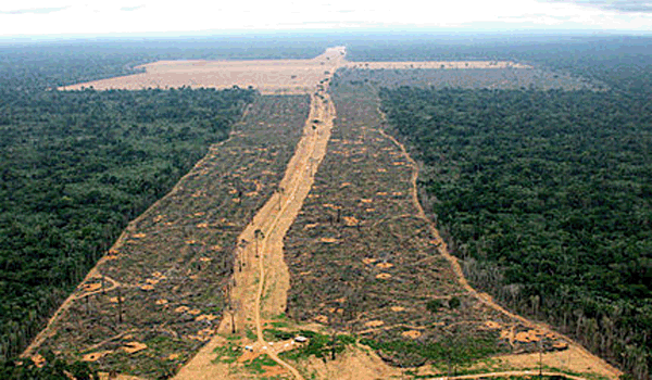Desmatamento da Amaznia em MT aumenta 96% ; multas de R$ 30 mi