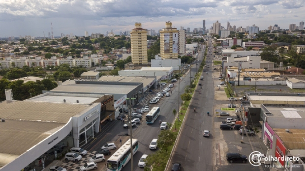 Prefeitura planta 160 palmeiras na avenida Fernando Corra enquanto obras do VLT no retornam