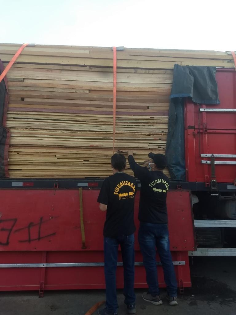Indea apreende 39 caminhes de madeira irregular no ms de novembro