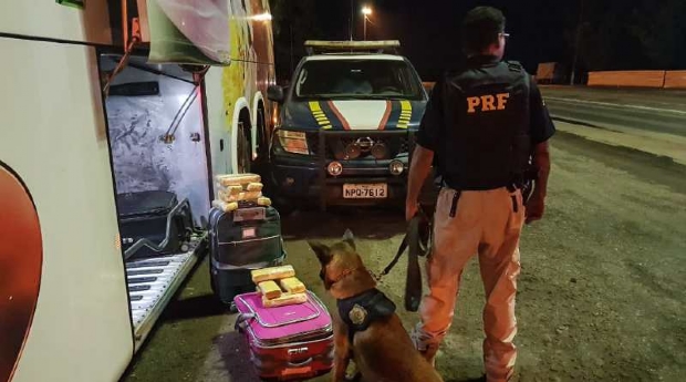 Ces da PRF flagram adolescente com 30 kg de maconha em nibus de turismo