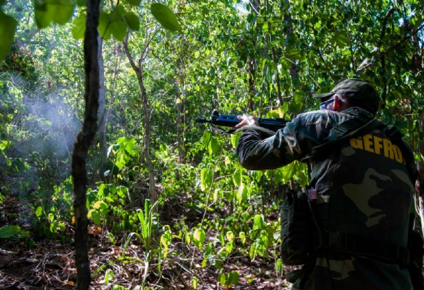 Cinco pessoas so presas e veculos so recuperados em regio de fronteira