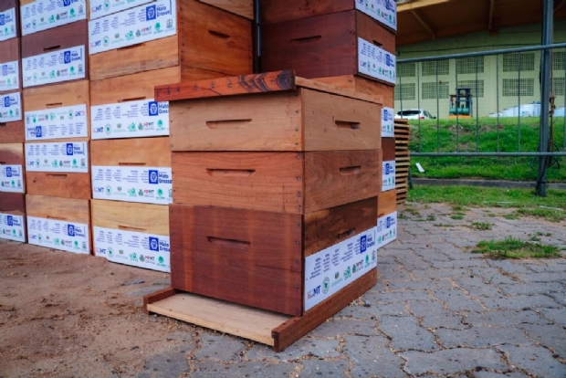 Governo fortalece apicultura de MT com entrega de 6 mil caixas de mel a produtores